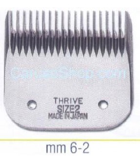 PETTINE TESTINA PER TOSATRICE THRIVE 6 MM SIZE 2